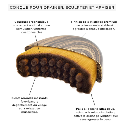 Ilfozen™ – Brosse de Drainage Lymphatique pour le Visage